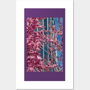 Spring in the City Posters and Art